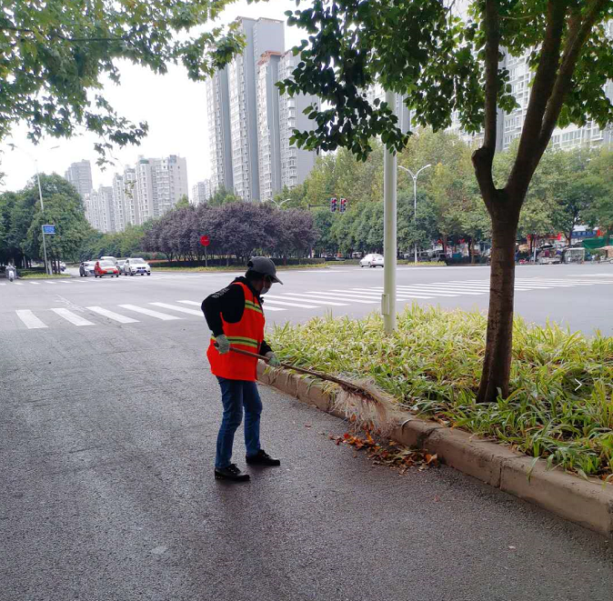 1602122411146289.png 1602122411146289.png